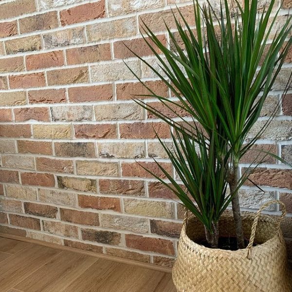 Birkdale Blend Brick Slips 0.5m2 Box - Image 2